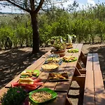 Kabaceira Glamping Luxuszelt Atalaia (Lisbon)