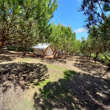 Luxury tent Kabaceira Glamping Atalaia (Lisbon)