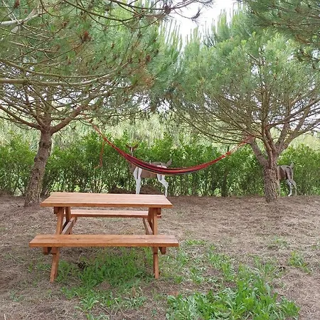 Kabaceira Glamping Atalaia (Lisbon)