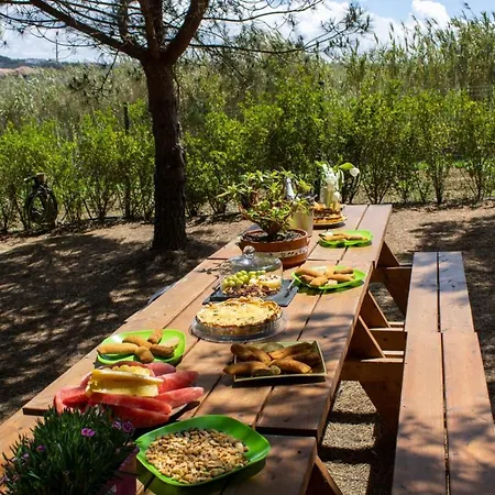 Kabaceira Glamping Luksustelt Atalaia (Lisbon)